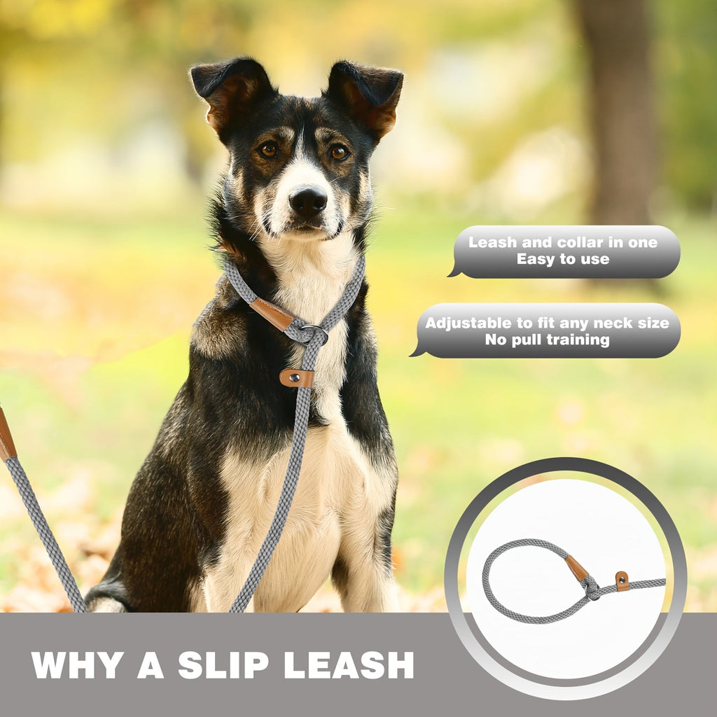 Durable Nylon Dog Leash for Small Medium Large Dogs - Heavy Duty Woven Training Leash S-XL, 8 Colors, Strong Comfortable Handle Dog Walking Lead