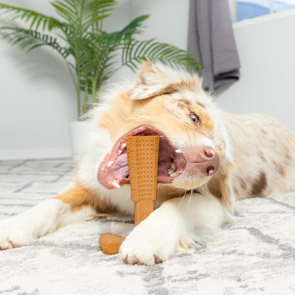 T-Shaped Dog Dental Chew Toy – Durable Non-Splintering Plastic Chew Toy with Textured Ridges & Ergonomic Grip for Aggressive Chewers, Teething Puppies & Adult Dogs, Teeth Cleaning Dog Toy