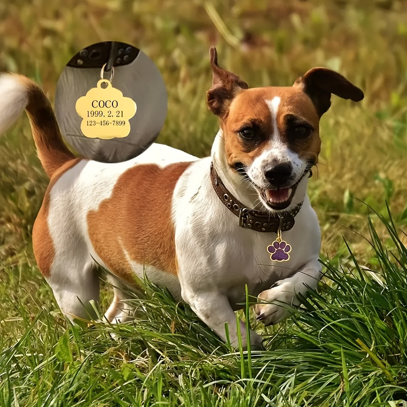 Custom Engraved Pet ID Tag for Dogs & Cats – Personalized Alloy Name & Phone Number Tag to Prevent Loss, Durable Anti-Lost ID Collar Tag for Cats and Dogs