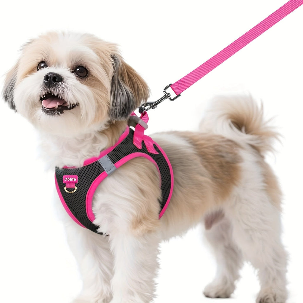 Step-In Dog Harness and Leash Set for Small Dogs - Soft Breathable Puppy Vest Chest Harness with Night Reflective Strips, Machine Washable Easy On Pet Harness for Small Breeds