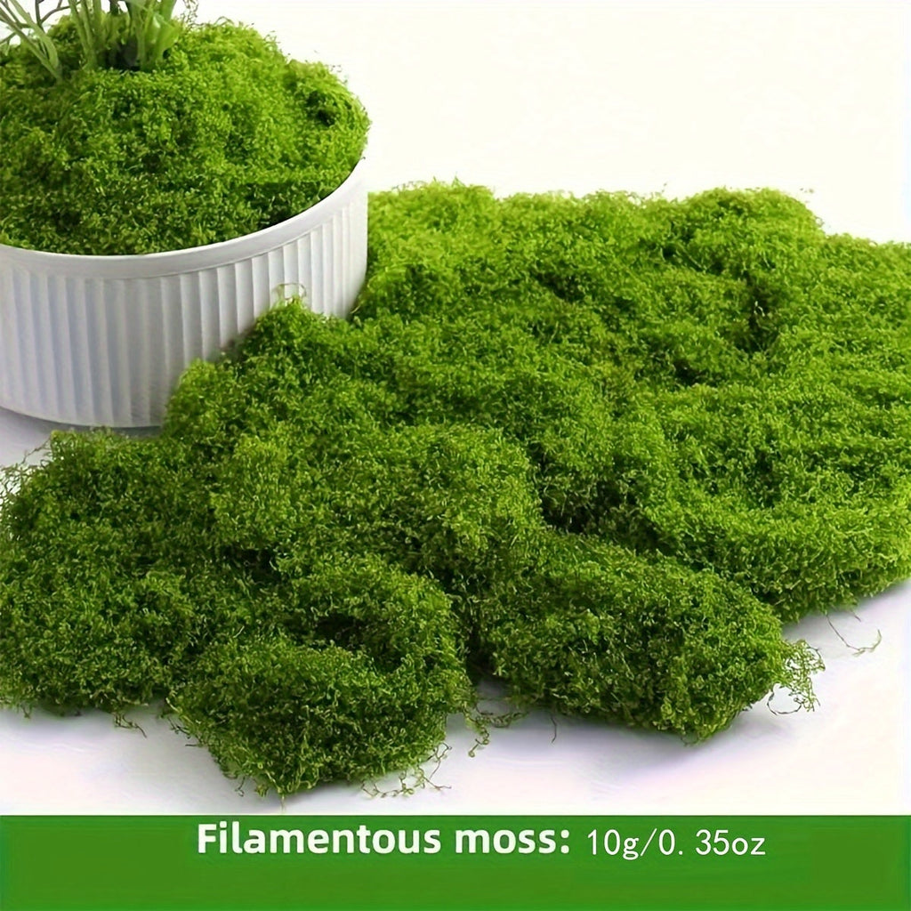 Realistic Artificial Moss for Terrariums Miniatures and Landscapes - Fake Moss for Potted Plants Dollhouse Diorama Model Railroad Aquarium and Miniature Ecosystems, Low Maintenance, 4 Sizes 0.35oz to 3.52oz