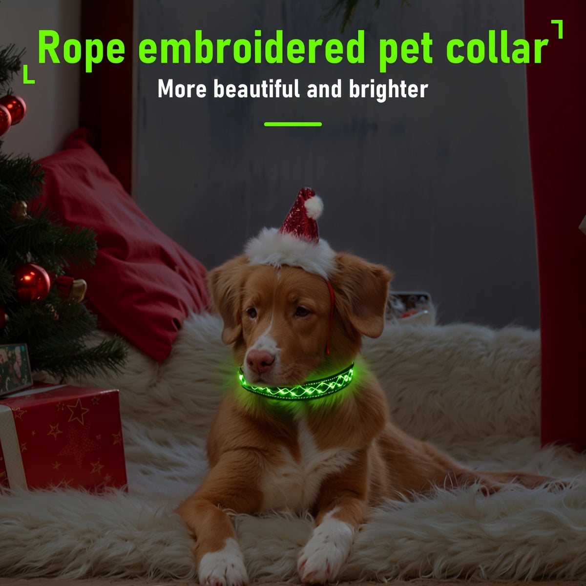 USB Rechargeable LED Embroidery Dog Collar for Night Safety – Glowing Decorative Light-Up Pet Collar with Adjustable Fit for Small Medium Large Dogs, 4 Colors, Sizes S M L