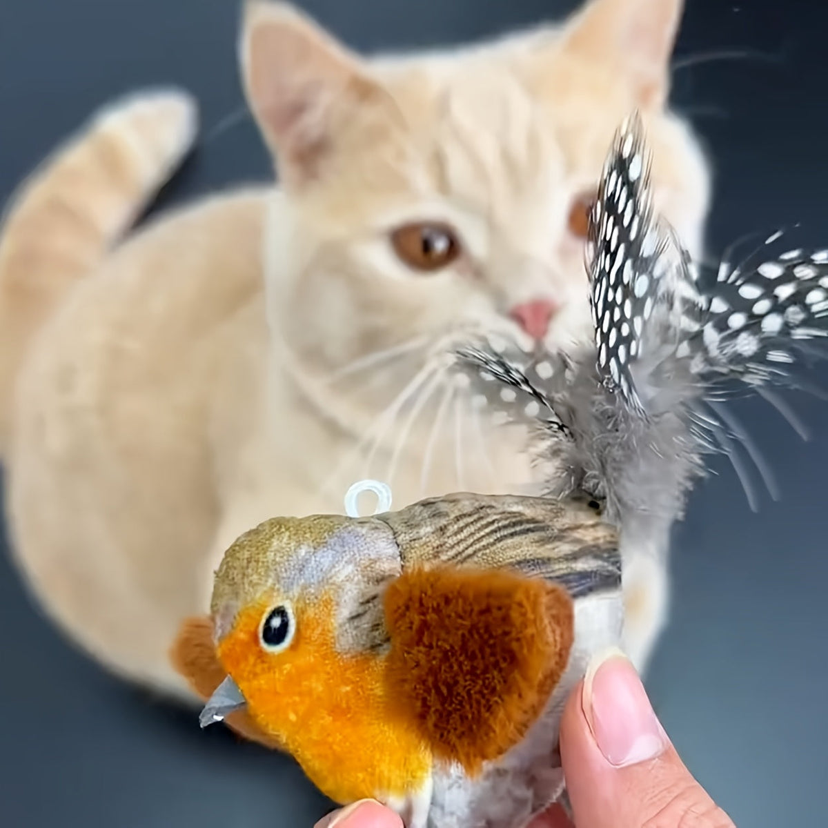 Interactive Plush Bird Cat Toy with Feathers Touch-Activated Squeaker Whistle Inside Battery-Free Chew-Resistant Cat Hunting Toy Stimulates Instincts for Indoor Cats Kittens