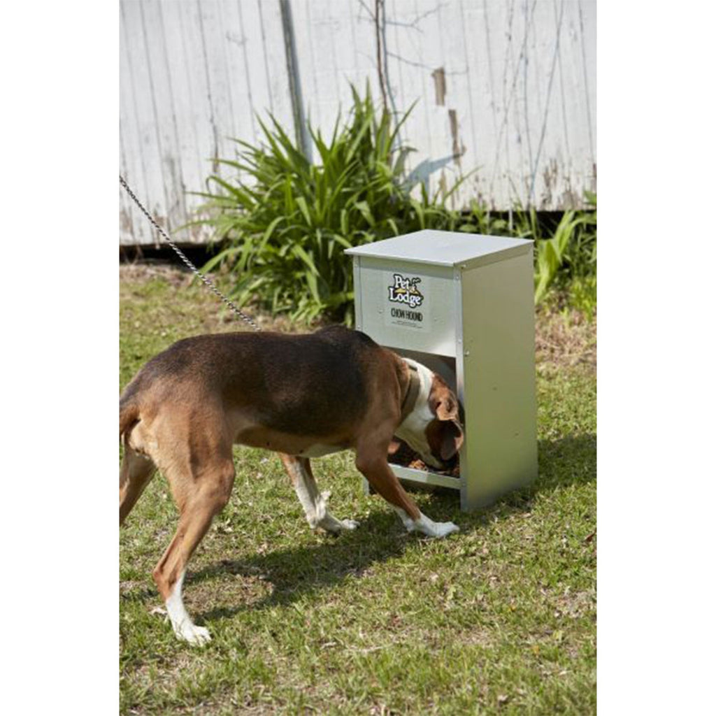 Pet Lodge Automatic Dog Feeder 25 lb - Galvanized Steel Gravity Feeder with Magnetized Door & Angled Chute, Chew-Proof Rust-Resistant, Wall-Mountable Indoor & Outdoor Use, Silver