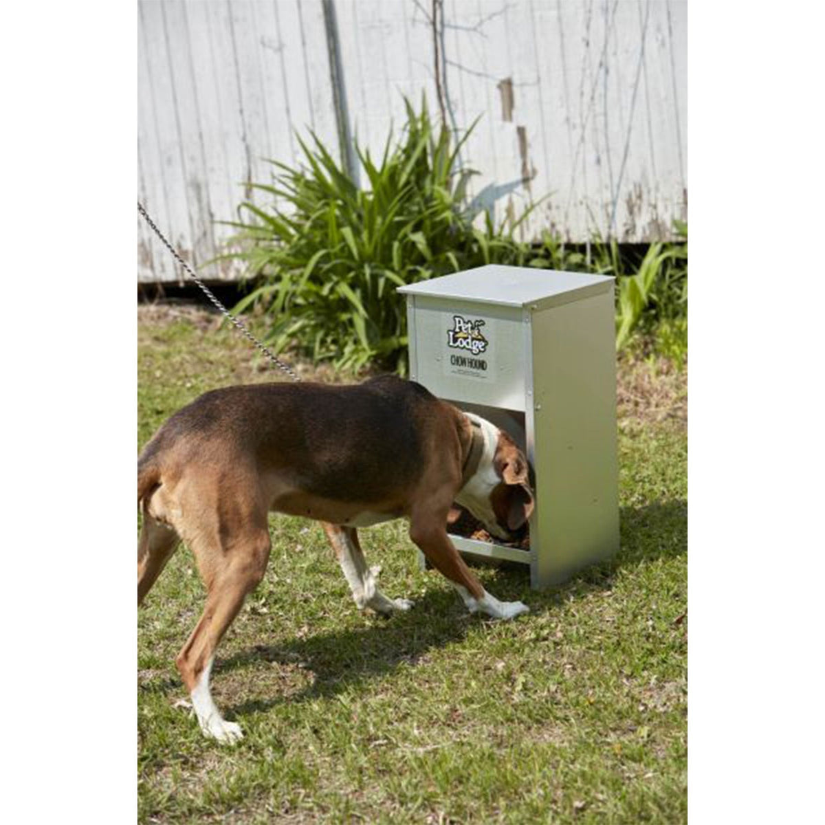 Pet Lodge Automatic Dog Feeder 25 lb - Galvanized Steel Gravity Feeder with Magnetized Door & Angled Chute, Chew-Proof Rust-Resistant, Wall-Mountable Indoor & Outdoor Use, Silver