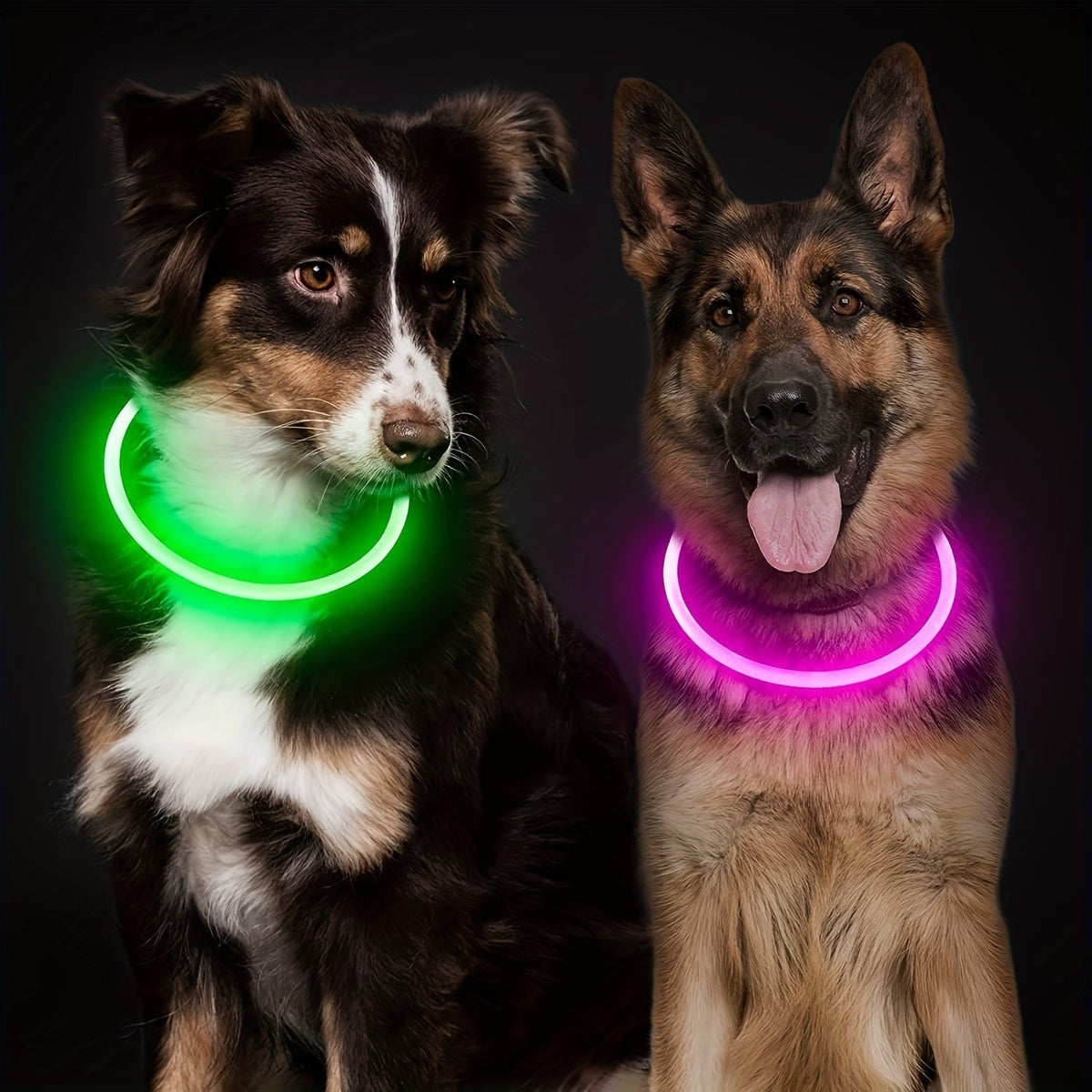 LED Dog Collar USB Rechargeable Glow in the Dark Light Up Dog Collar for Nighttime Walking Safety Collar for Small Medium Large Dogs – Waterproof Luminous PVC Night Glow Pet Collar with USB Charging