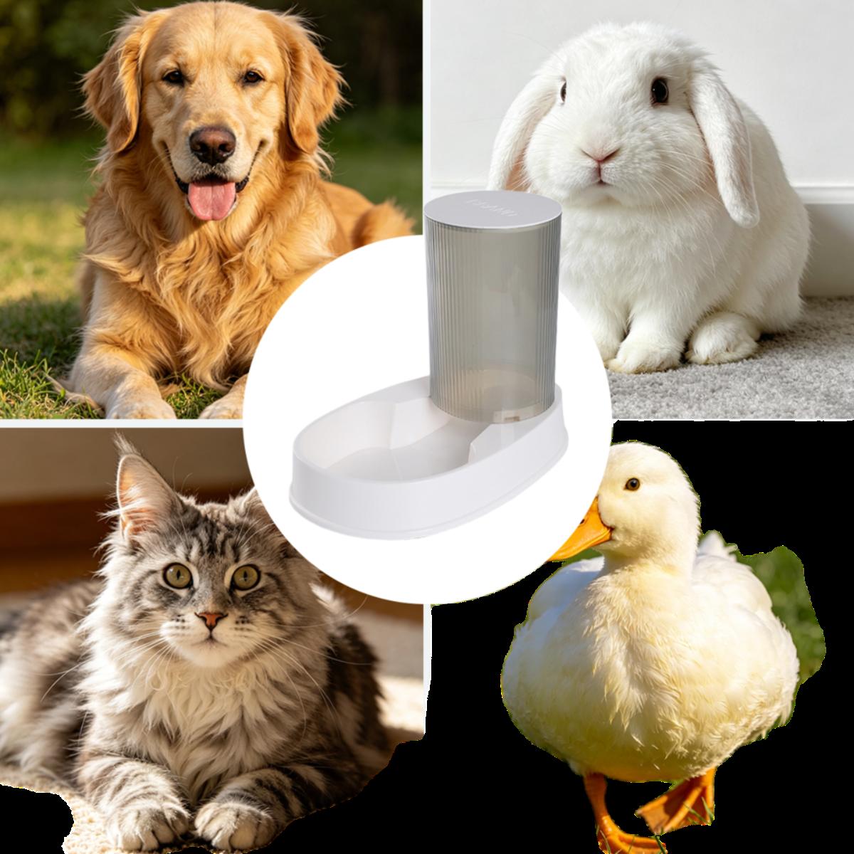Automatic Pet Feeder for Cats & Dogs - Large Capacity Gravity Food Dispenser with Timed Scheduling, Auto Dog Cat Food Bowl Station for Busy Pet Owners, Indoor Household Pet Feeding Solution