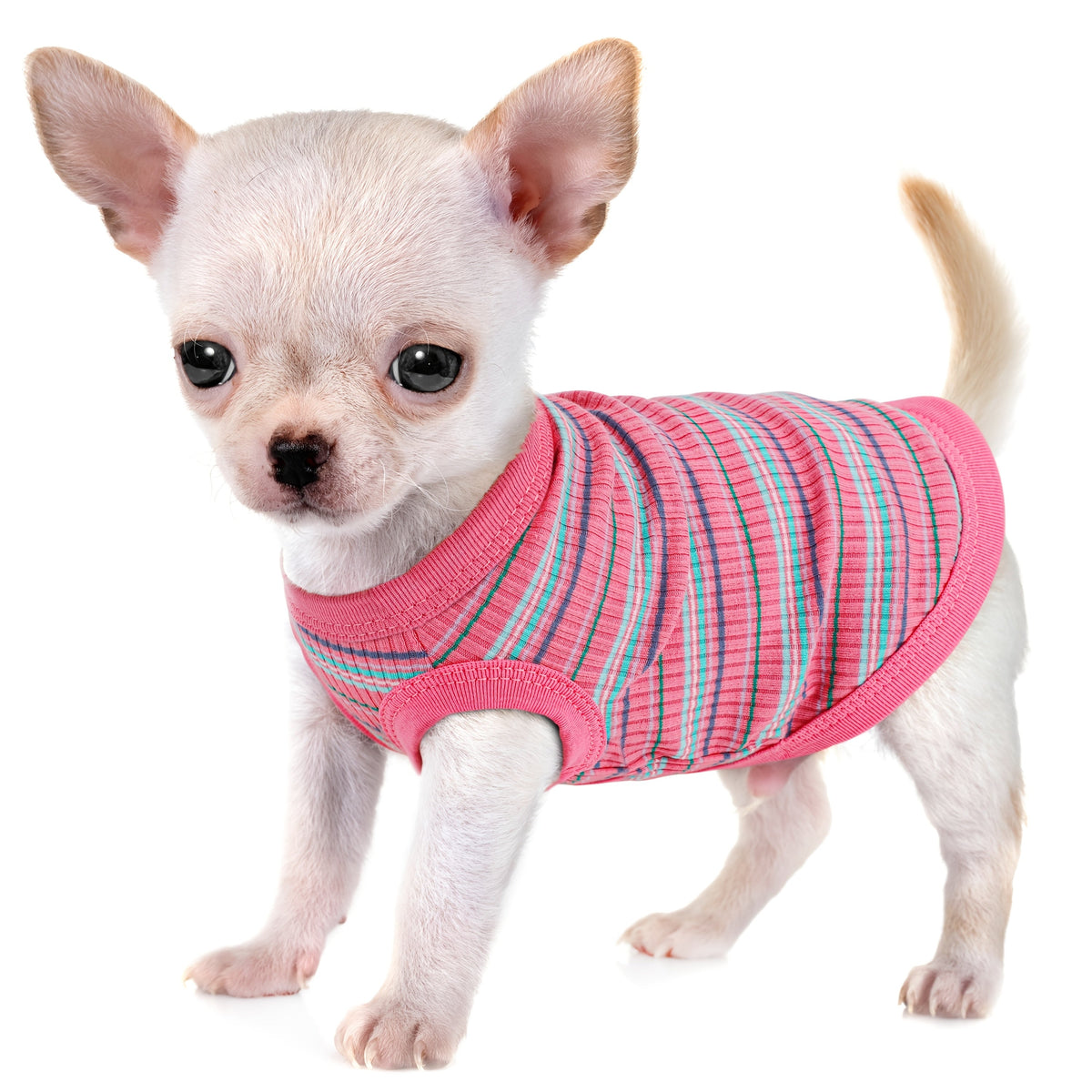 Pink Striped Ribbed Dog Vest Tank Top for XS and Small Dogs - Soft Sleeveless Pullover All-Season Pet Apparel, Comfortable Casual Dog Tank Top for Toy Breeds and Puppies