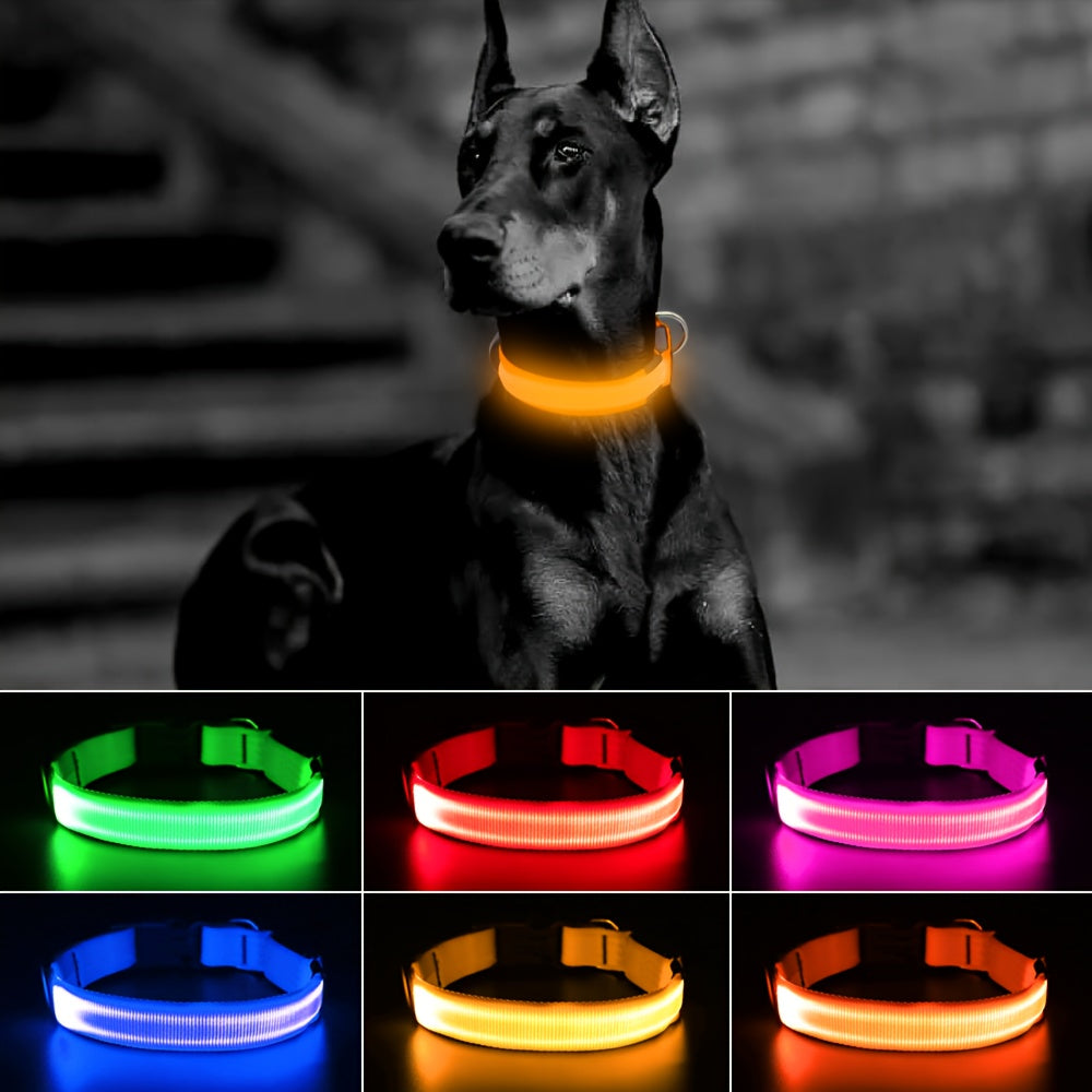 LED Dog Collar Light Up USB Rechargeable - Adjustable Nylon Glow Safety Collar with D-Ring Buckle for Small Medium Large Dogs, High Visibility Night Walking Dog Collar