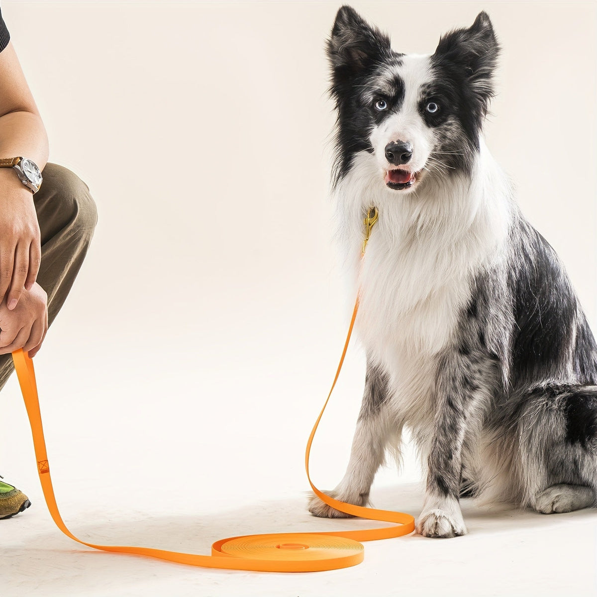 Waterproof Dog Training Leash 10/20/30/50ft – DuraSoft Poly Coated Nylon Long Lead for Large Medium Small Dogs – Tangle-Resistant Recall Leash for Hiking Camping Beach Yard Swimming