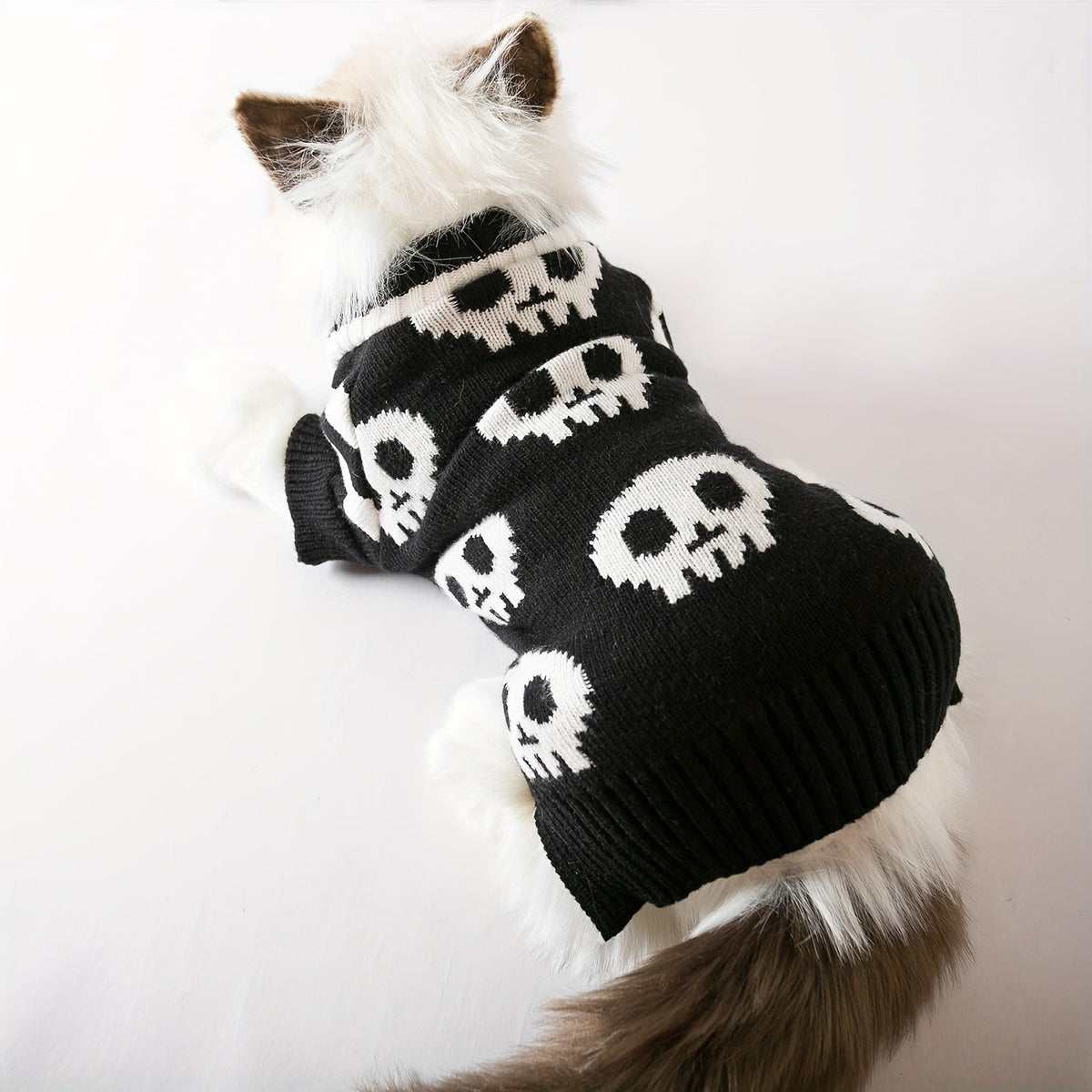 Halloween Dog Sweater Black Skull Pattern - Thermal Knit Pullover for Small to Medium Dogs, Machine Washable Winter & Autumn Coat for Chihuahuas, Yorkies & Pomeranians, Festive Halloween Pet Costume (S/M/L)