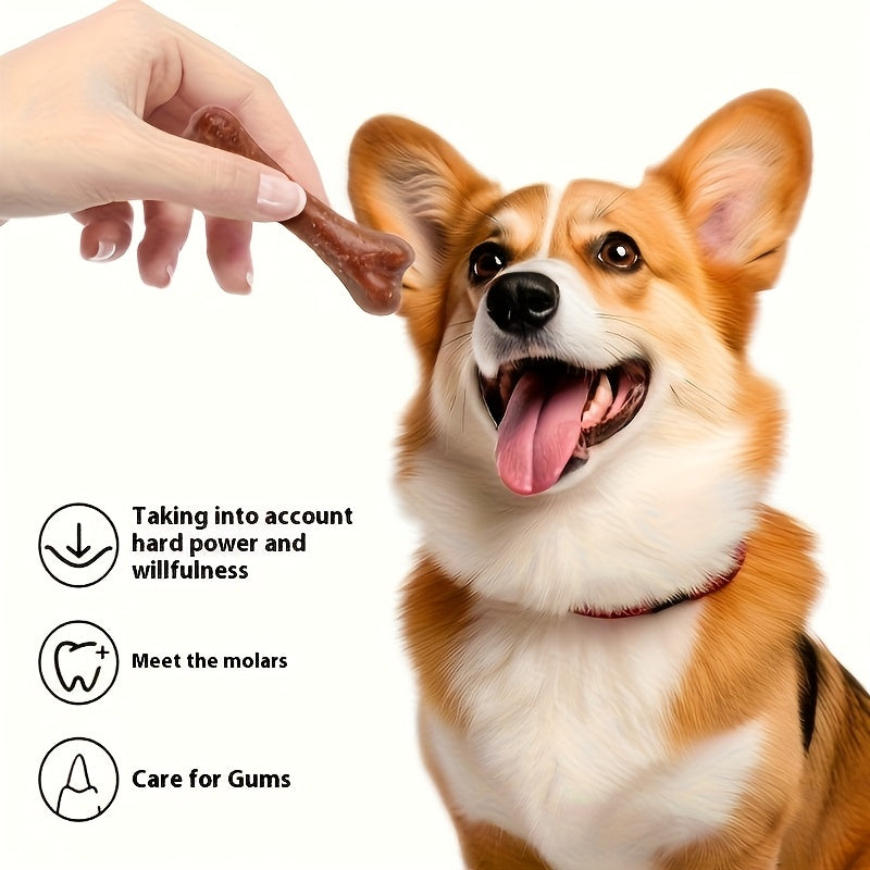 Dog Chew Toys 16pcs Set – Dental Cleaning Bones & Rubber Chew Sticks for Small to Medium Dogs – Safe Non-Toxic Teeth Cleaning Dog Toys for Indoor & Outdoor Use, Boredom & Anxiety Relief