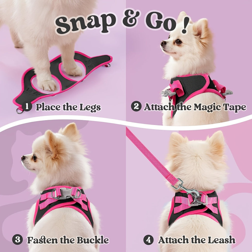 Step-In Dog Harness and Leash Set for Small Dogs - Soft Breathable Puppy Vest Chest Harness with Night Reflective Strips, Machine Washable Easy On Pet Harness for Small Breeds