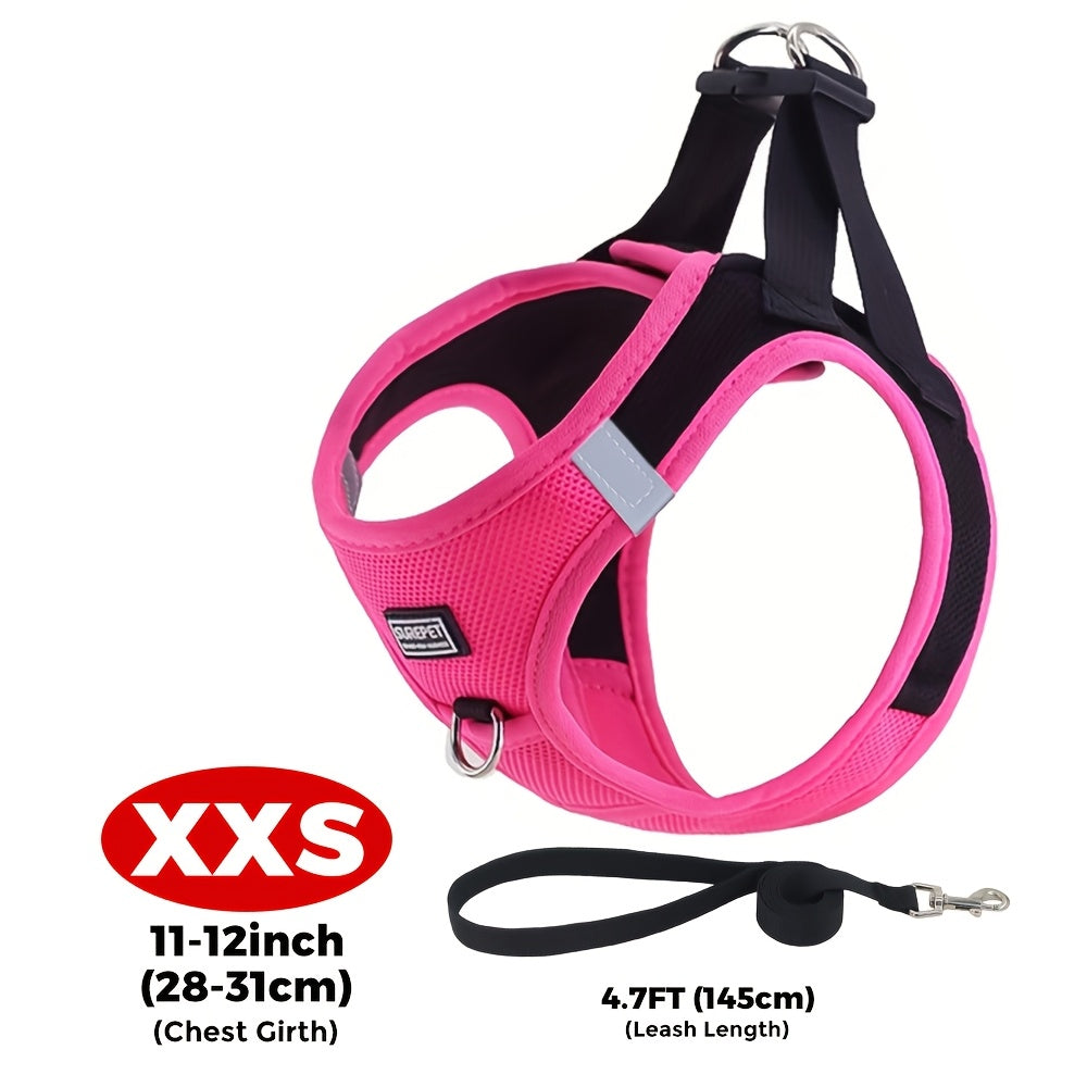 Small Dog Harness and Leash Combo Set - Soft Mesh Step-In Chest Harness for Small Dogs, Comfortable Breathable Pet Vest Harness with Matching Leash for Walking, Jogging & Training