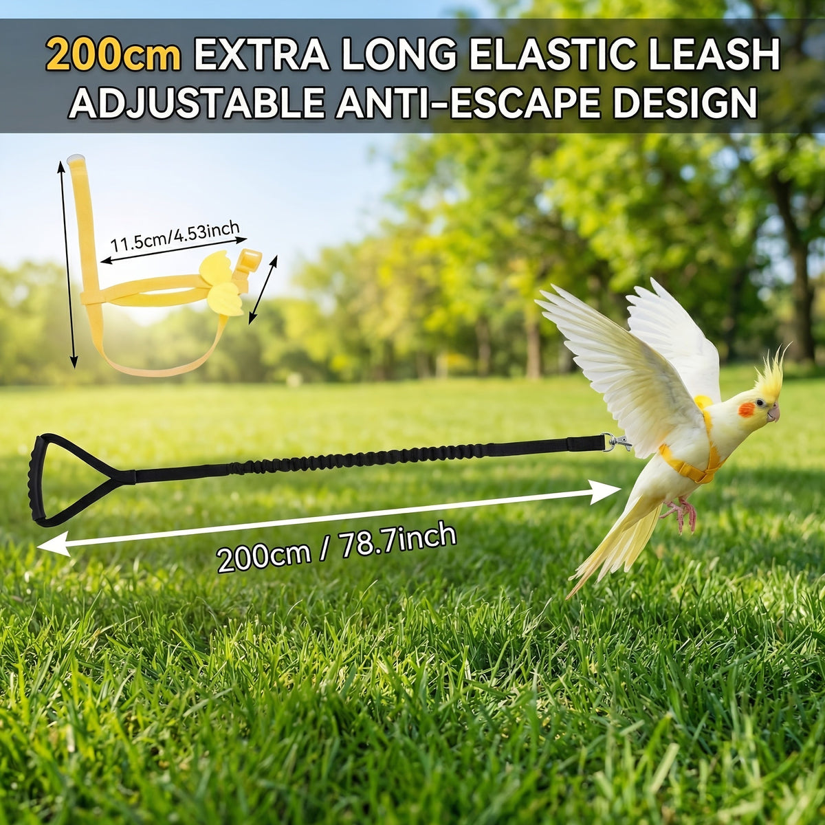 Adjustable Bird Harness & Leash for Parrots - Escape-Proof Soft Training Strap for Conures, Cockatiels, Lovebirds, Budgies & Small Parrots - 2M Long, Outdoor Walking Bird Leash, Pink & Blue