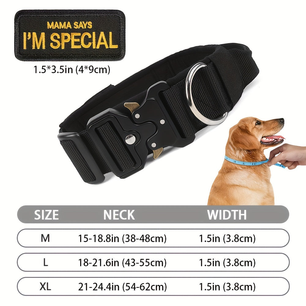 Tactical Dog Collar and Heavy Duty Elastic Leash Set for Medium Large Dogs - High Strength Metal Buckle Nylon Dog Collar, Stretchable Bungee Dog Leash, Outdoor Training Walking Gear