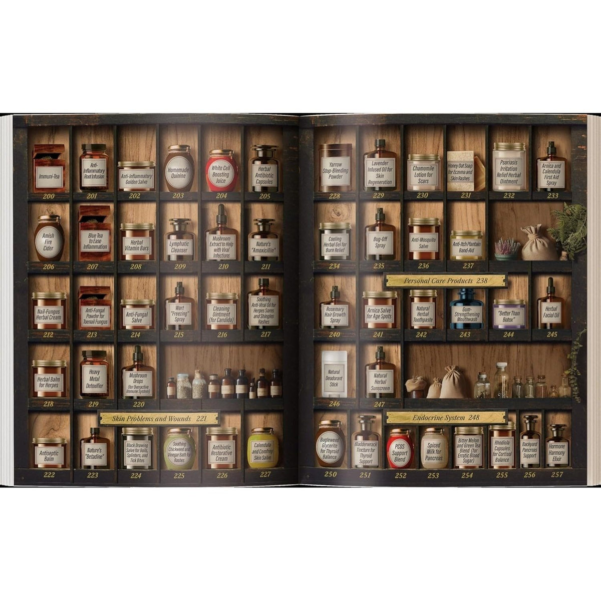The Forgotten Home Apothecary - 250 Powerful Natural Remedies at Your Fingertips by Dr. Nicole Apelian, 288 Full-Color Pages with Step-by-Step Instructions, Photos & Dosages for Herbal Home Healing
