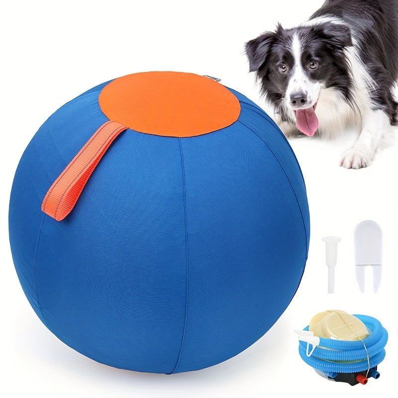 Chew-Resistant Dog Ball Toy for Fetch & Training – Durable Polo Balls for Golden Retrievers, Bulldogs, Shiba Inu, Corgi & Australian Shepherd, Self-Play & Obedience Exercise