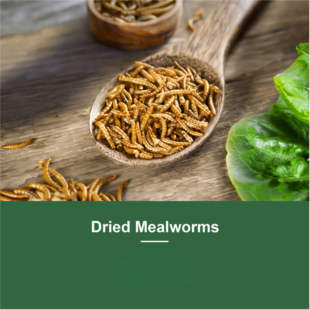 Dried Mealworms for Chickens Wild Birds Ducks – High Protein Natural Pet Food for Hens, Turtles, Fish, Lizards & Hamsters, Non-GMO Dried Insect Animal Feed, Multiple Sizes 0.6–40 LBS