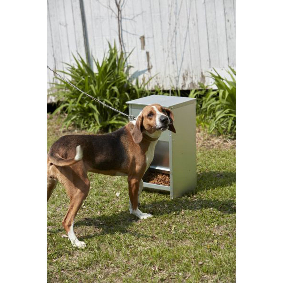 Pet Lodge Automatic Dog Feeder 25 lb - Galvanized Steel Gravity Feeder with Magnetized Door & Angled Chute, Chew-Proof Rust-Resistant, Wall-Mountable Indoor & Outdoor Use, Silver