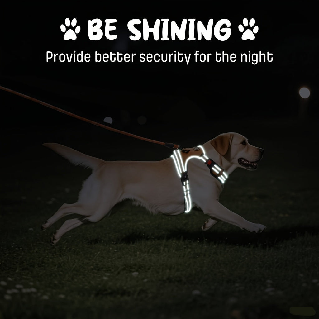 No Pull Dog Harness Set with Leash Retractable Seatbelt & Collar – Fully Reflective Adjustable Breathable Vest Harness with Handle for Small & Large Dogs XS–XL