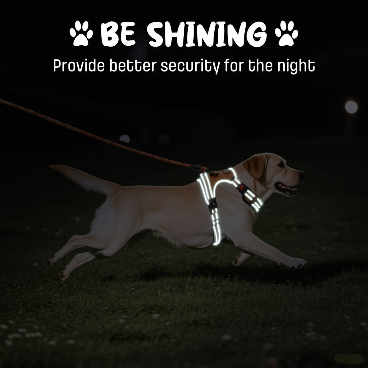 No Pull Dog Harness Set with Leash Retractable Seatbelt & Collar – Fully Reflective Adjustable Breathable Vest Harness with Handle for Small & Large Dogs XS–XL