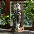 L-Shaped Cat Scratching Board for Wall and Floor - Durable Natural Texture Scratch Surface, Indoor Cat Toy and Furniture Protector, Long-Lasting Corner Cat Scratcher Play Area