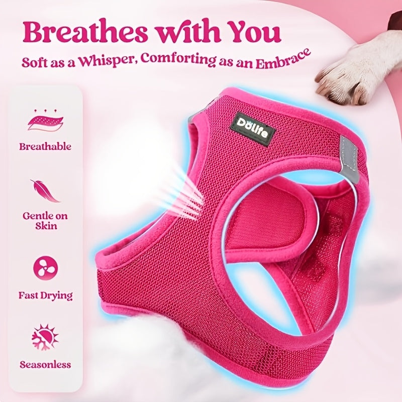 Step-In Dog Harness and Leash Set for Small Dogs & Puppies - Breathable Mesh Reflective Soft Lightweight No-Pull Pet Vest Harness with Matching Leash XS S M L XL