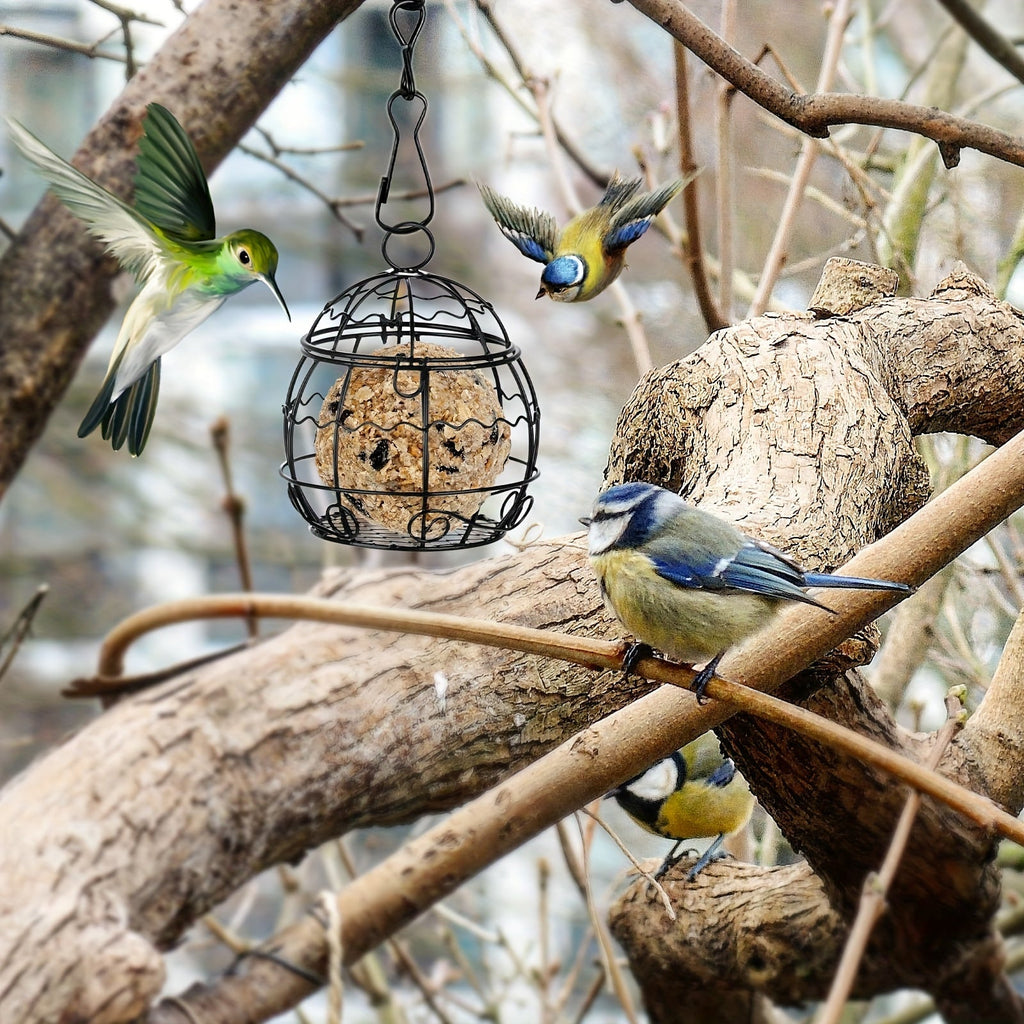 4-Pack Hanging Bird Feeders for Outdoors, Wild Bird Feeder Stations with Hooks, Balcony & Garden Bird Feeding Set, Durable Hanging Bird Feeder Stand for Small Birds, Hummingbirds & Songbirds