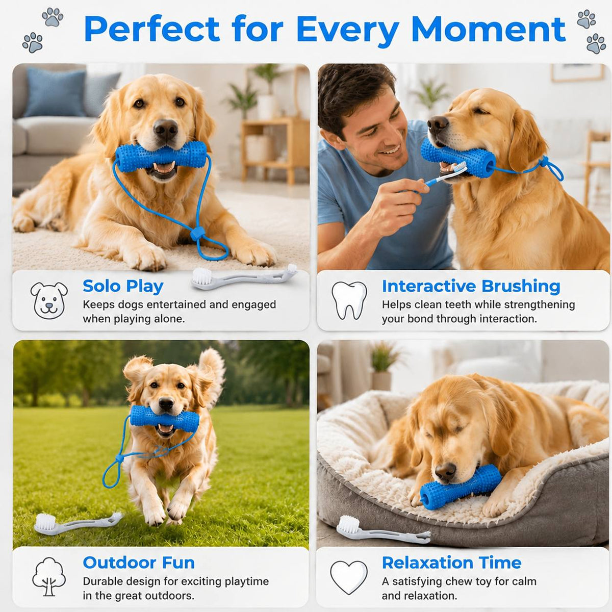 Dog Teething Chew Stick and Teeth Cleaning Brush Set 2 Pack - Durable Chewable Dog Toothbrush with Mouth-Open Strap for Easy Brushing, Dual-Purpose Dental Care Toy for Dogs, Random Color