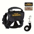 Escape-Proof Cat Harness with Leash – No-Pull Soft Breathable Mesh Vest Harness for Outdoor Cat Walking & Control, Adjustable Secure Fit for Cats of All Sizes