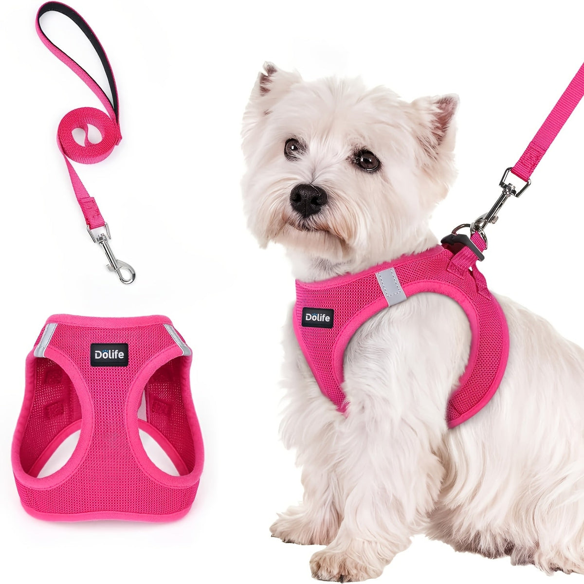 Step-In Dog Harness and Leash Set for Small Dogs & Puppies - Breathable Mesh Reflective Soft Lightweight No-Pull Pet Vest Harness with Matching Leash XS S M L XL