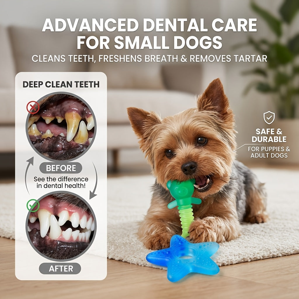 Puppy Chew Toys for Aggressive Chewers 2-Pack – Heavy Duty PVC Bear & Starfish Teething Set for Small Dogs, Teeth Cleaning Dental Chew, Separation Anxiety & Boredom Relief, Gradient Color Puppy Gift Set