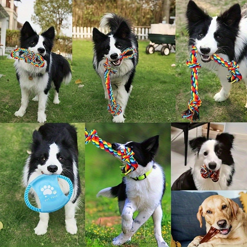 Indestructible Dog Chew Toys 6 Pack - Heavy Duty Tug Toys for Medium Large & Giant Dogs, Teething Chew Toys Set for Aggressive Chewers, Rainbow Dog Leash Included