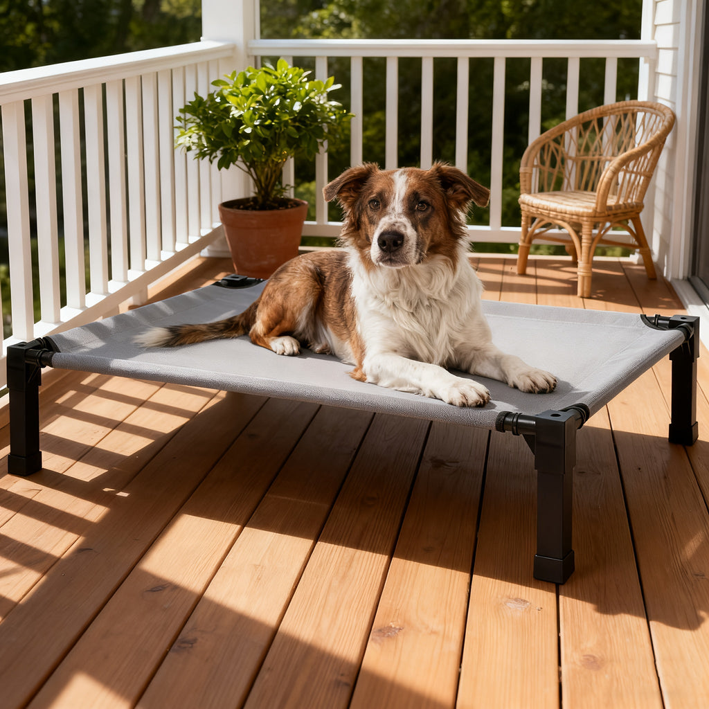 Cooling Elevated Dog Bed Raised Cot with Breathable Mesh & Metal Frame – Washable Portable No-Slip Dog Cot for Indoor & Outdoor Use, Available in 4 Sizes & 7 Colors for All Breeds