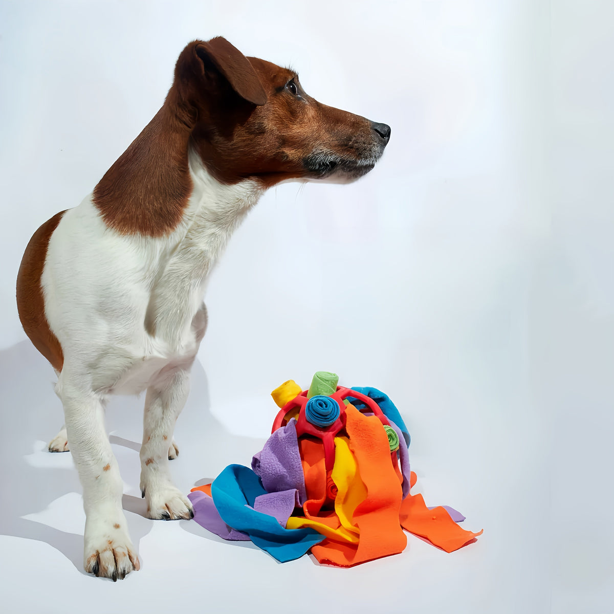 Interactive Snuffle Ball for Dogs - IQ Training Treat Hiding Puzzle Toy, Durable Rubber Slow Feeder for Mental Stimulation & Boredom Relief, Easy to Clean, for Small & Medium Dogs