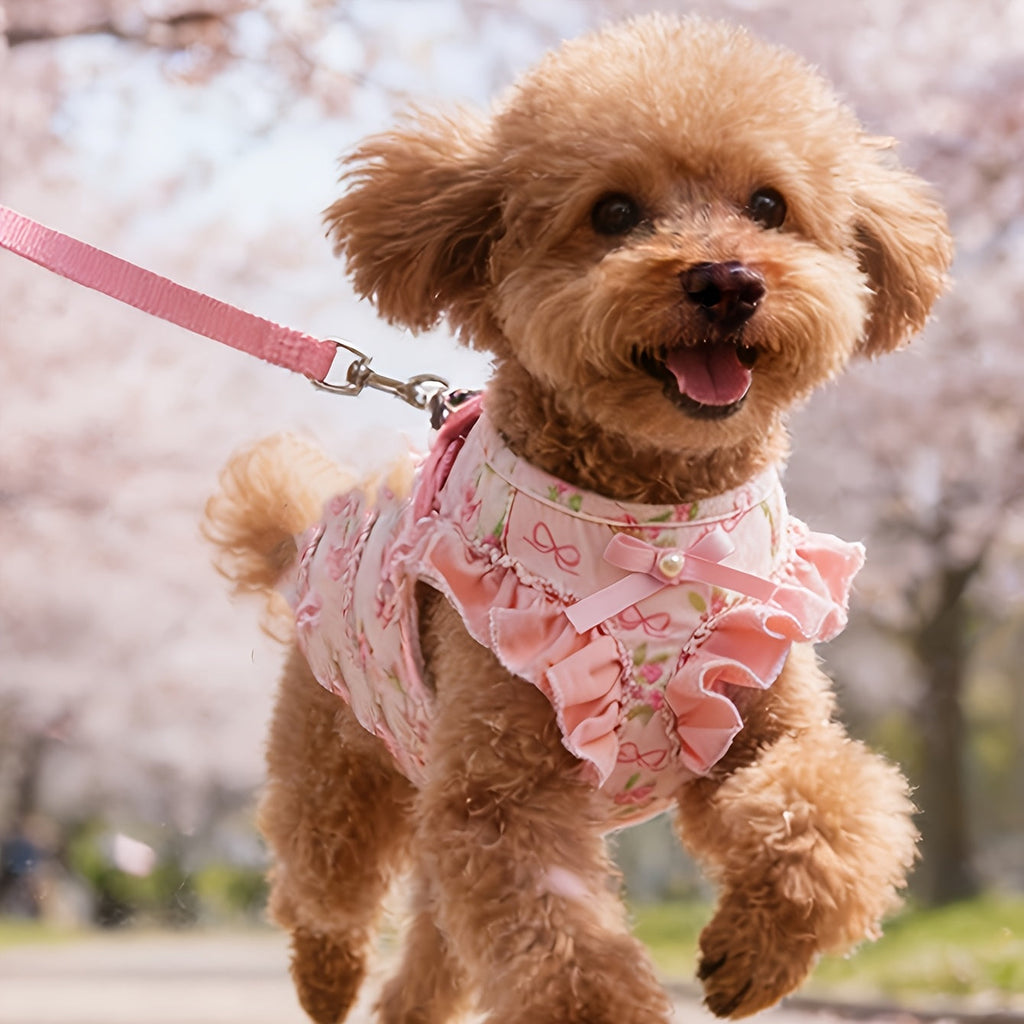 Dog Harness and Leash Set Vest Style – Soft Breathable Snap Closure Pet Harness with Cute Bow Cartoon Design, Double Protection for Small & Medium Dogs, Comfortable No-Pull Walking Harness S/M/L