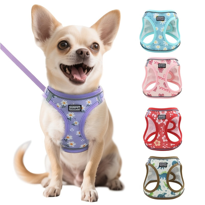 No-Pull Dog Harness and Leash Set for Small to Medium Dogs - Soft Mesh Reflective Adjustable Puppy Vest Harness for Walking Running and Training, Escape-Proof Pet Harness