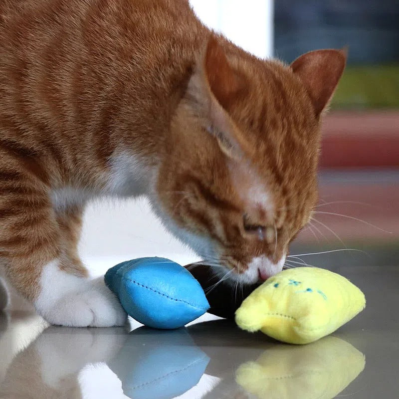 Cat Squeaky Plush Pillow Teaser Toy - Interactive Cat Design Stuffed Kicker Toy with Squeaker for Cats Kittens Solo Play Boredom Buster No Battery 6 Colors Green Yellow Pink Blue Coffee