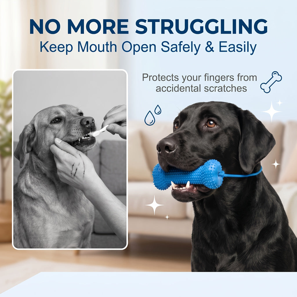 Dog Teething Chew Stick and Teeth Cleaning Brush Set 2 Pack - Durable Chewable Dog Toothbrush with Mouth-Open Strap for Easy Brushing, Dual-Purpose Dental Care Toy for Dogs, Random Color