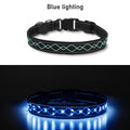 USB Rechargeable LED Embroidery Dog Collar for Night Safety – Glowing Decorative Light-Up Pet Collar with Adjustable Fit for Small Medium Large Dogs, 4 Colors, Sizes S M L