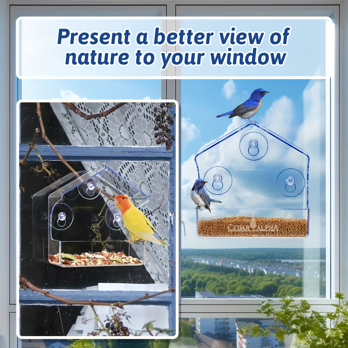 Window Bird Feeder Clear Plastic with Strong Suction Cups – Transparent Outside Bird Feeder for Close-Up Bird Watching, No Battery Needed, Durable Window Birdhouse for Wild Birds