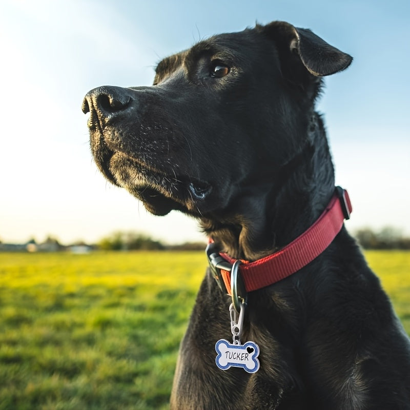 Personalized Engravable Dog ID Tag Collar Plate – Fashionable Anti-Lost Name & Phone Number Plate for Cats & Dogs, 8 Colors, Fits Small Medium Large Breeds, Cute Stylish Pet Gift