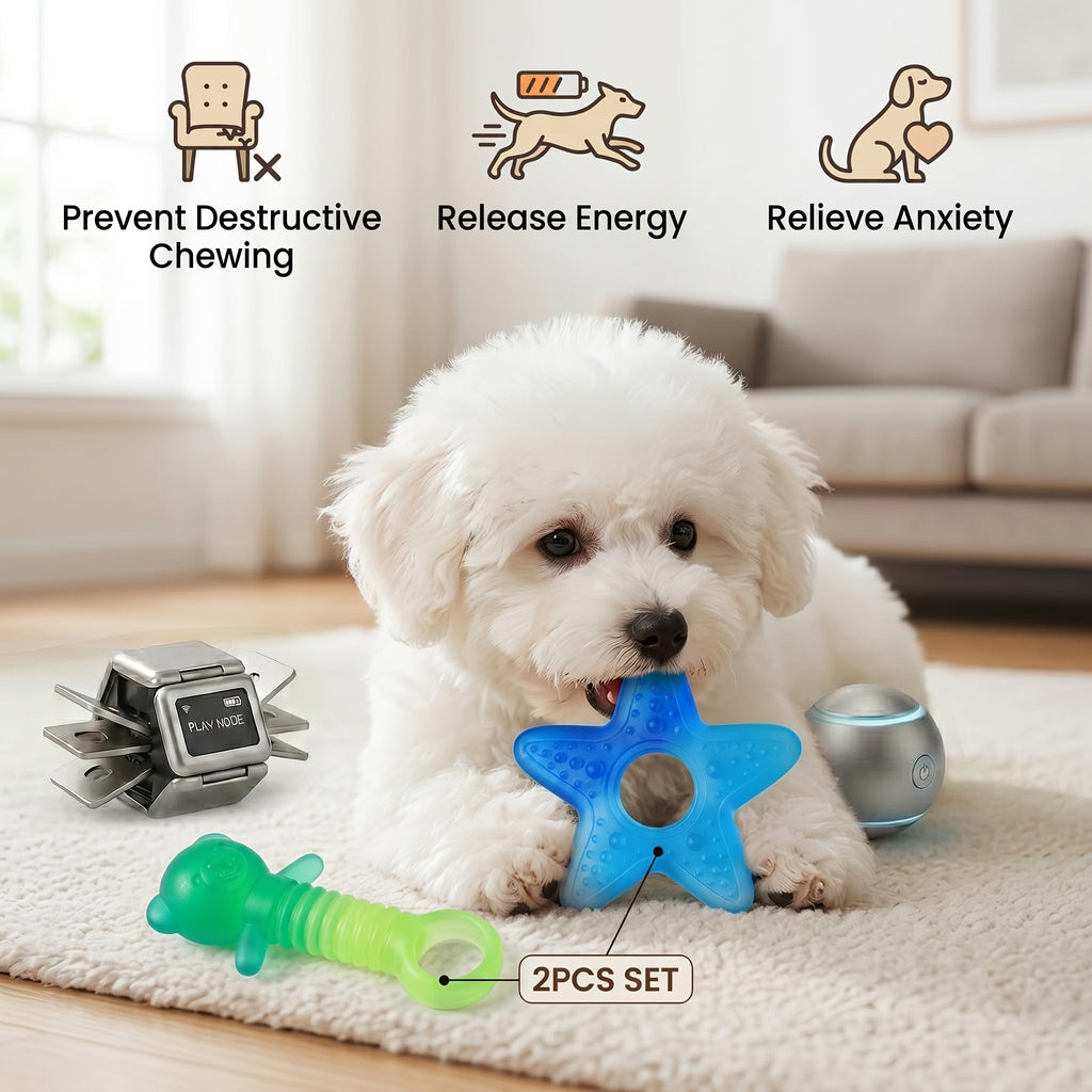 Puppy Chew Toys for Aggressive Chewers 2-Pack – Heavy Duty PVC Bear & Starfish Teething Set for Small Dogs, Teeth Cleaning Dental Chew, Separation Anxiety & Boredom Relief, Gradient Color Puppy Gift Set