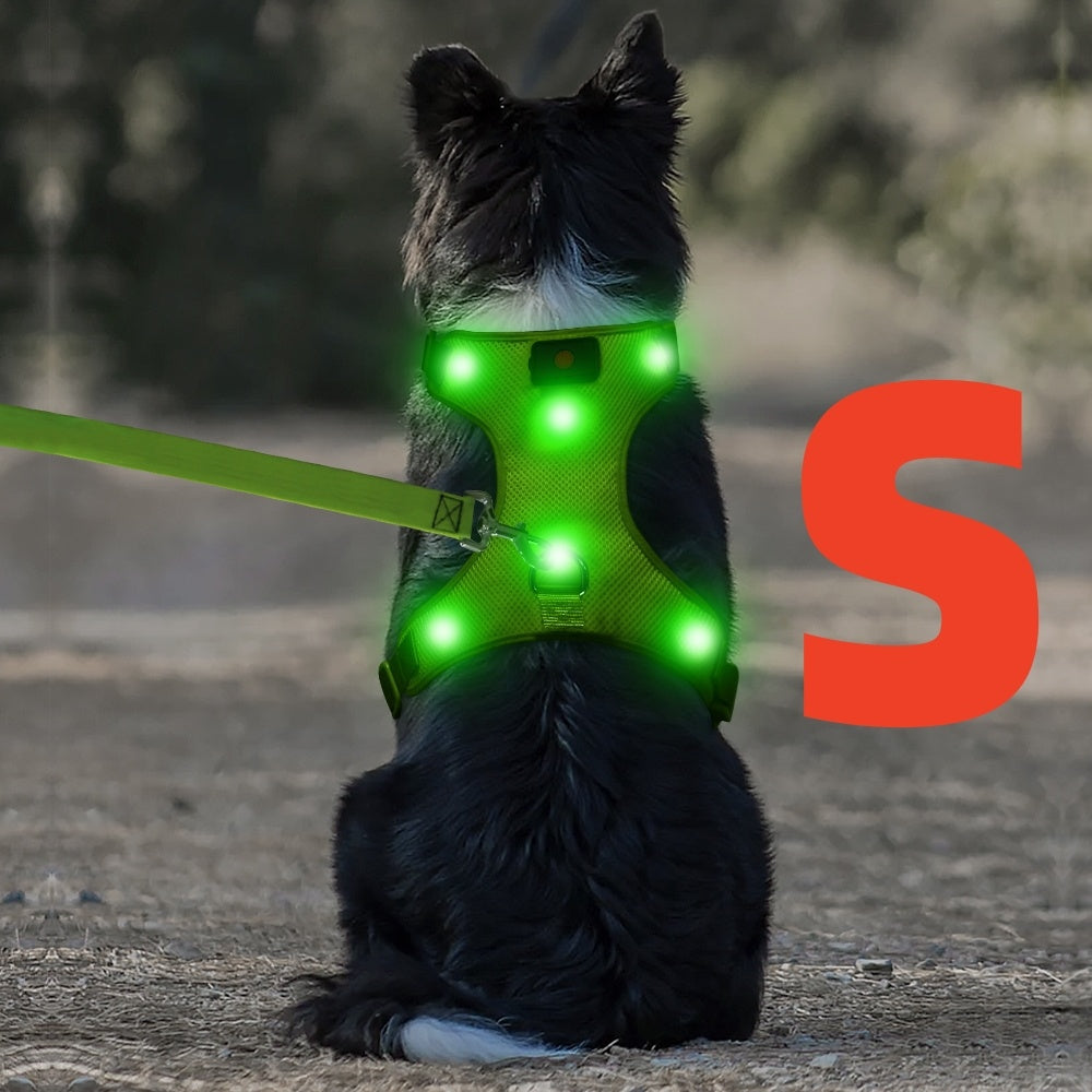 LED Light Up Dog Harness No Pull - Rechargeable Washable Glowing Dog Vest Harness with Detachable Battery for Safe Night Walking and Camping, 4 Colors & Sizes S M L for Small Medium Large Dogs