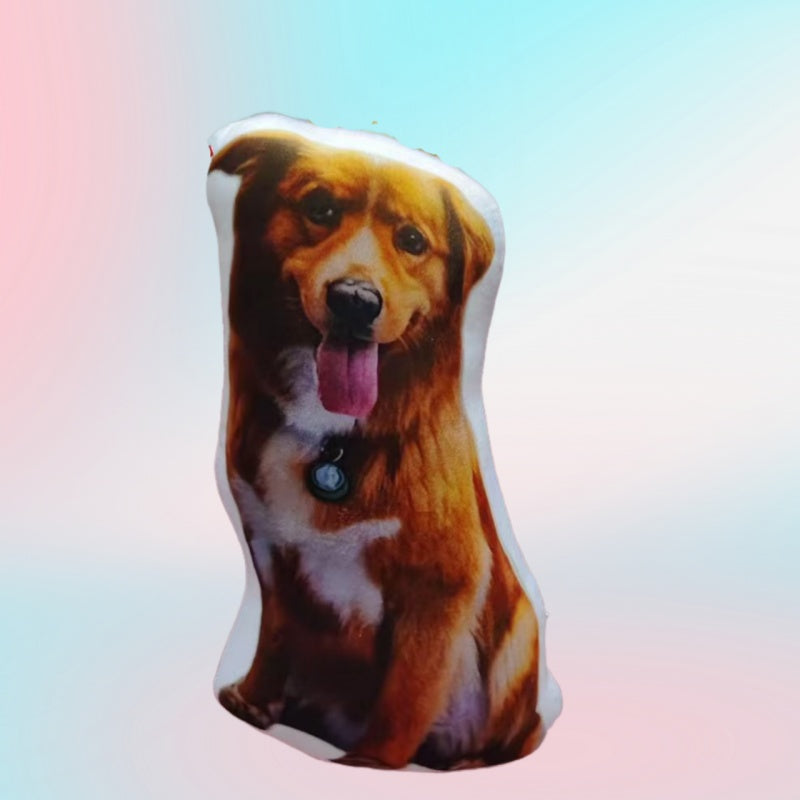 Custom Ugly Cat Pillow - Funny Photo Printed Irregular Shaped Plush Toy, Personalized Cat & Dog Face Cushion, Quirky Simulation Pet Commemorative Gift Pillow or Keychain (3 Sizes)