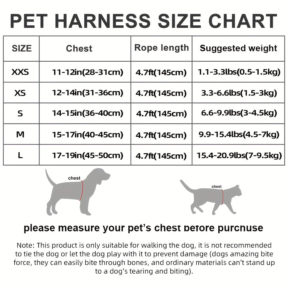 Small Dog Harness and Leash Combo Set - Soft Mesh Step-In Chest Harness for Small Dogs, Comfortable Breathable Pet Vest Harness with Matching Leash for Walking, Jogging & Training