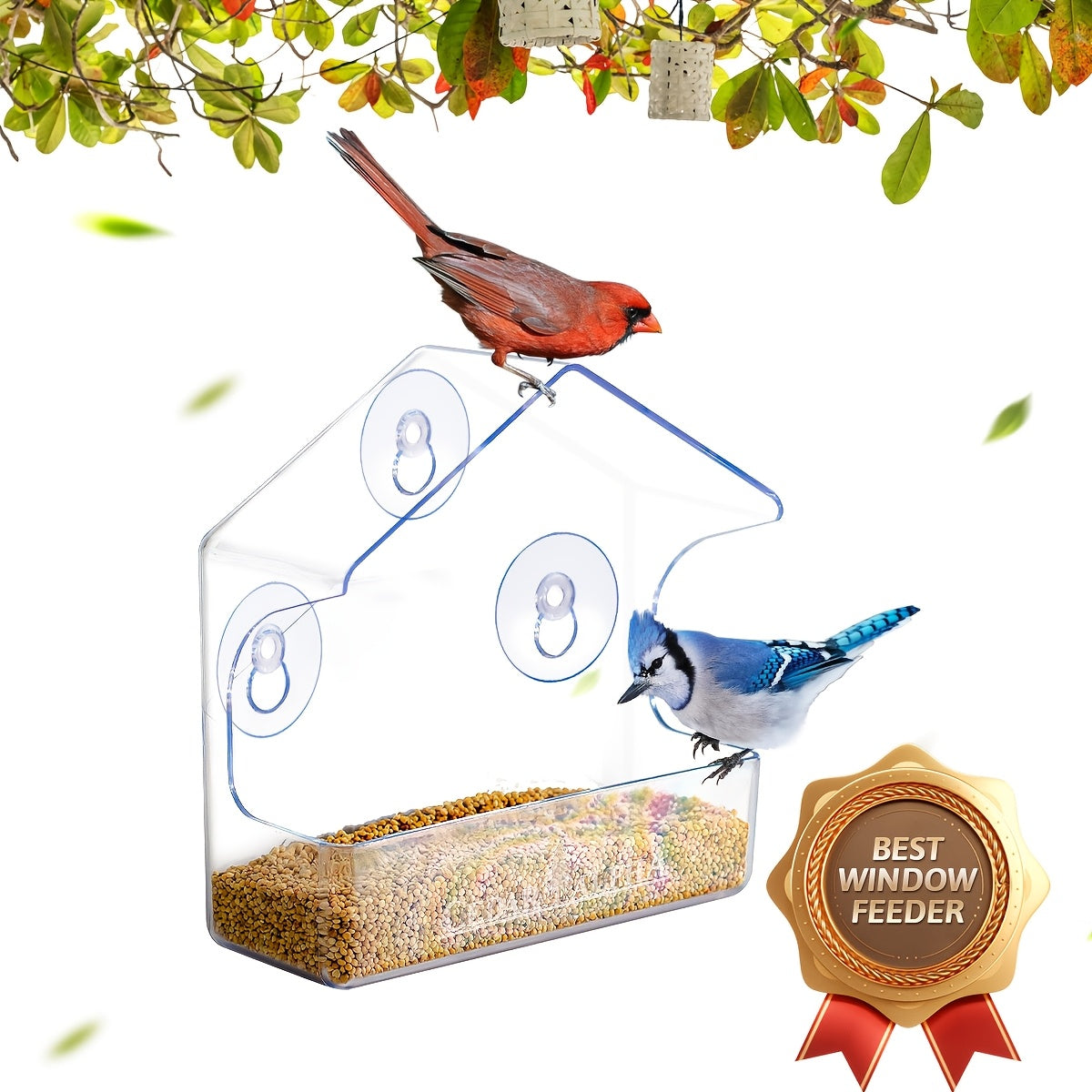 Window Bird Feeder Clear Plastic with Strong Suction Cups – Transparent Outside Bird Feeder for Close-Up Bird Watching, No Battery Needed, Durable Window Birdhouse for Wild Birds