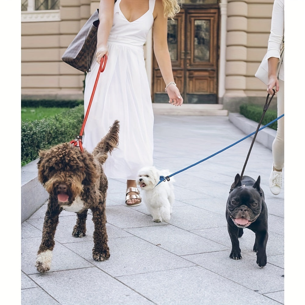 5-Pack Slip Lead Dog Leash - Nylon Rope Training Leads for Dogs of All Sizes, Durable Strong Dog Training Leash Set for Puppy Small Medium Large Dogs, Vet & Shelter Favorite