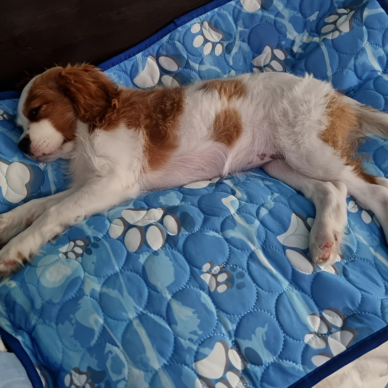 Pet Cooling Mat for Dogs & Cats - Instant Cool Ultra-Soft Sweat-Absorbent Surface, Self-Cooling Pad for All-Day Summer Comfort, 5 Sizes for Small Medium Large Pets, Durable Portable All-Season Use